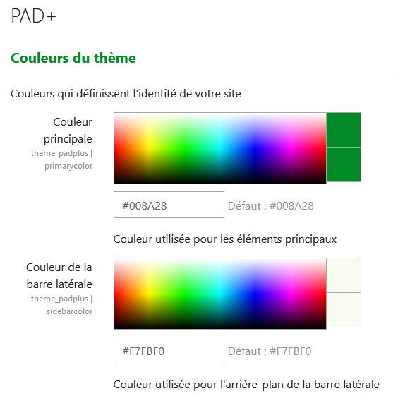 Panneau de configuration des couleurs du thème PAD+